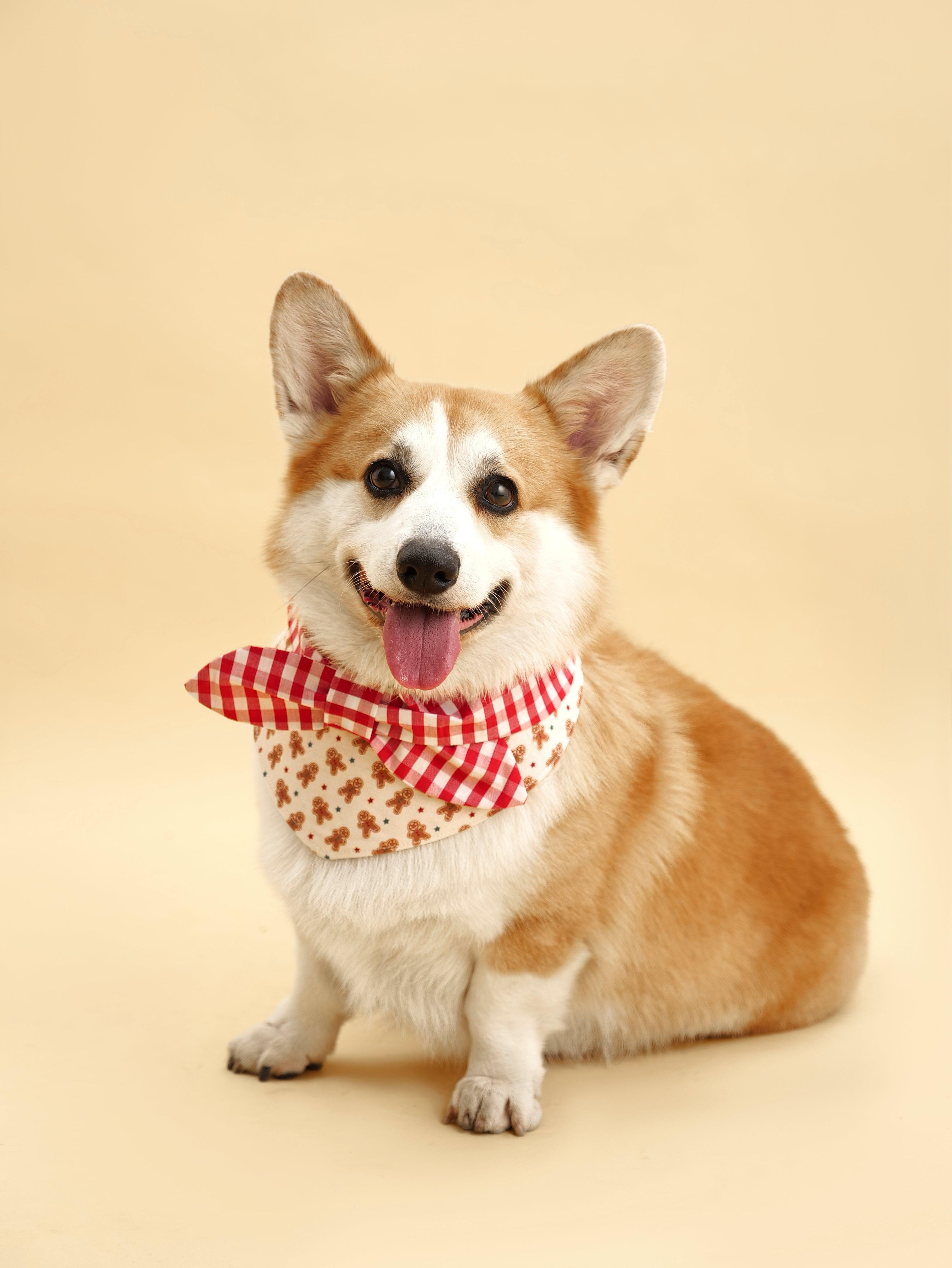 Christmas Morning Gingerbread Man Gingham Print Handmade Scrunchie