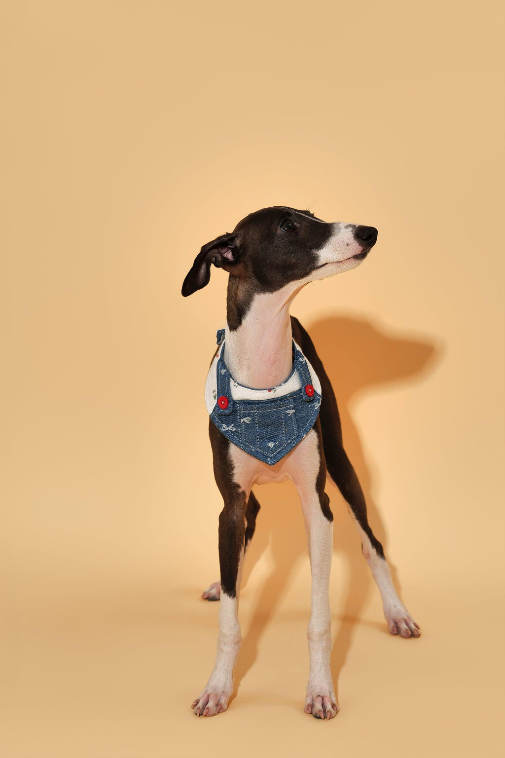 Reversible Denim Cherry Overalls Pet Bandana