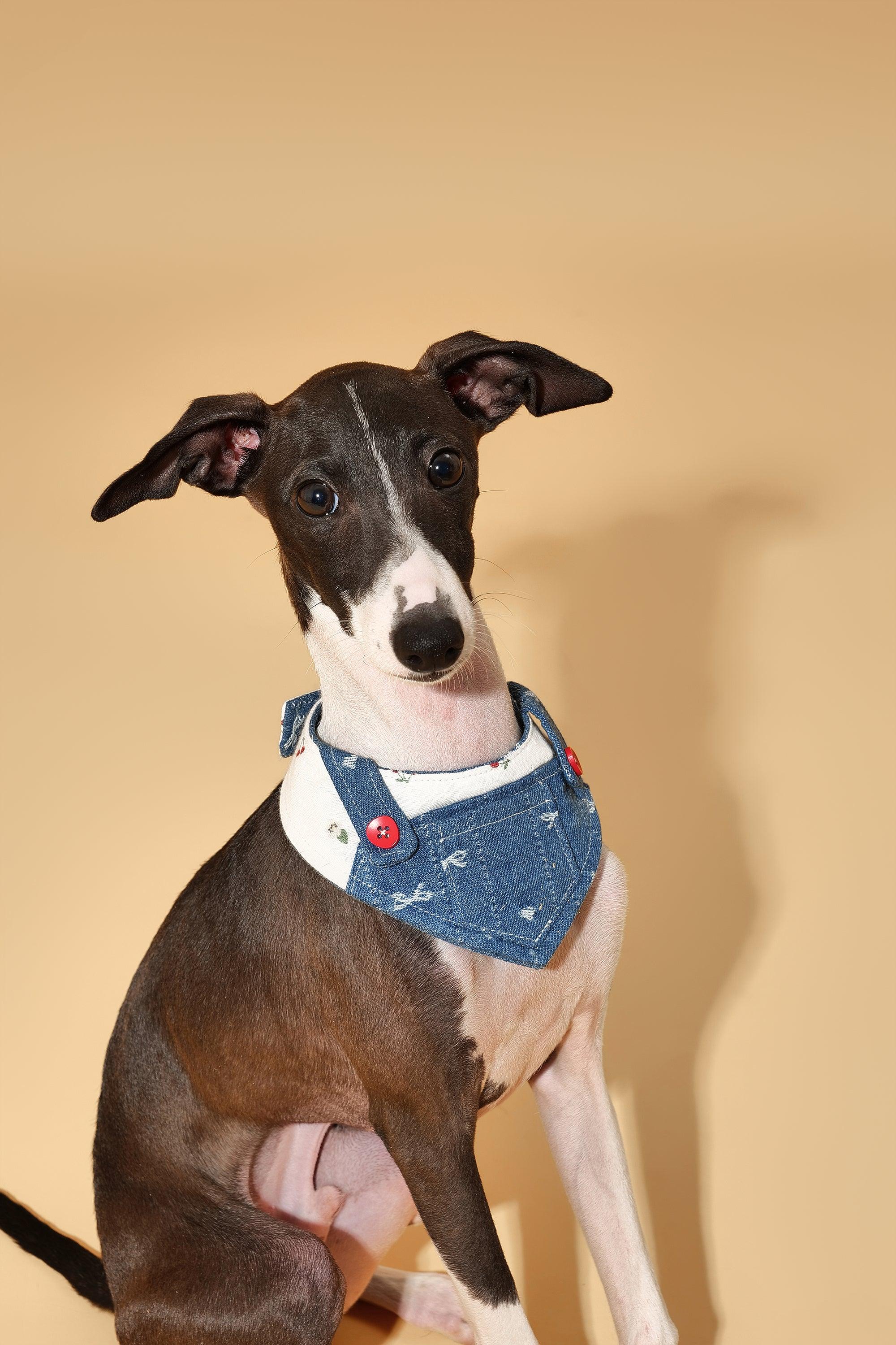 Reversible Denim Cherry Overalls Pet Bandana