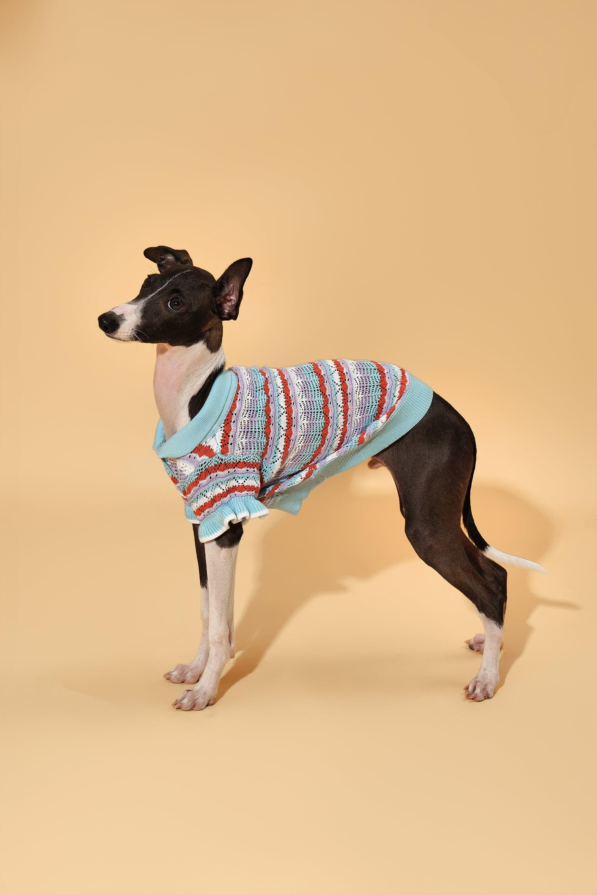 Pet & Me Spring Summer Ocean Blue Ruffle Crochet Short Sleeve Polo Shirt