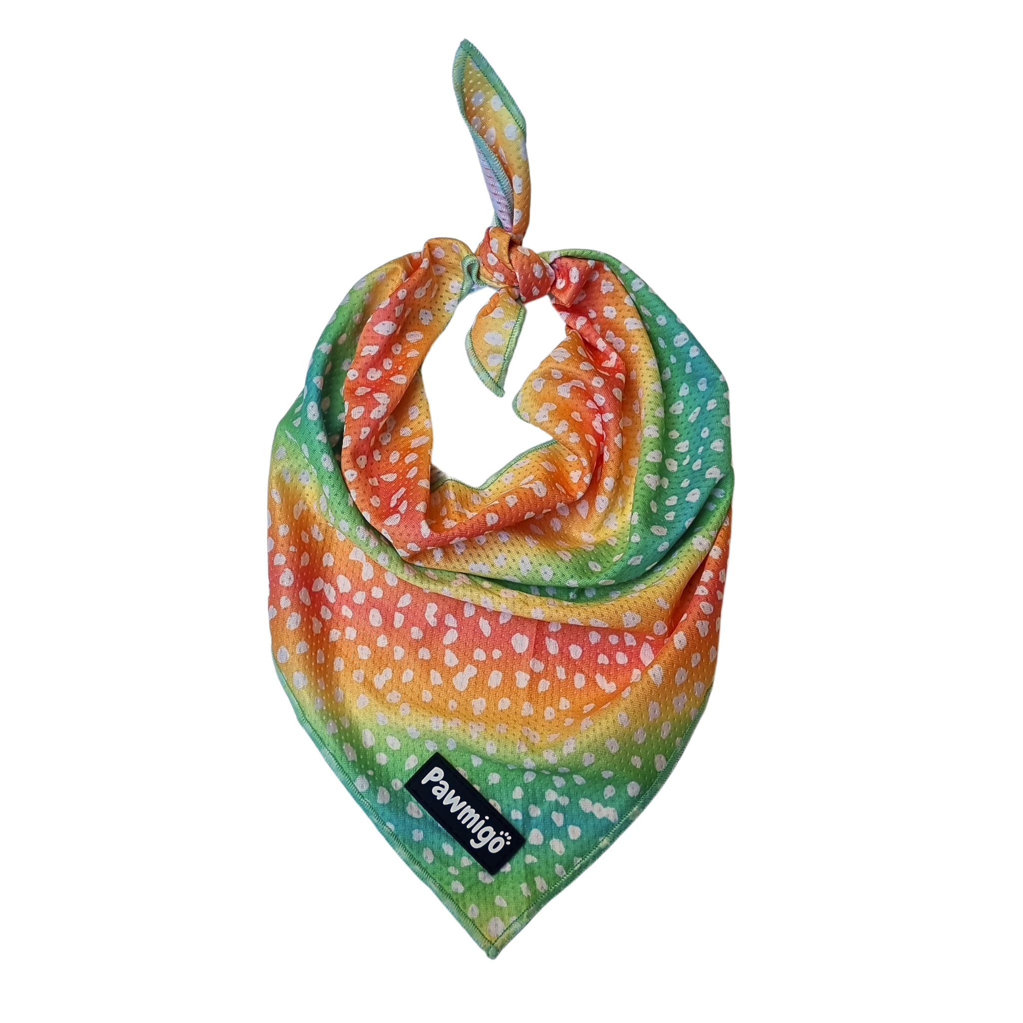 Chasing Rainbows Cooling Bandana