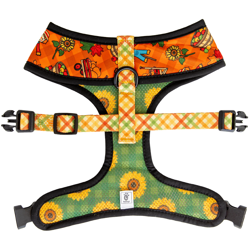 Pupkin Patch Reversible Harness - Pawmigo