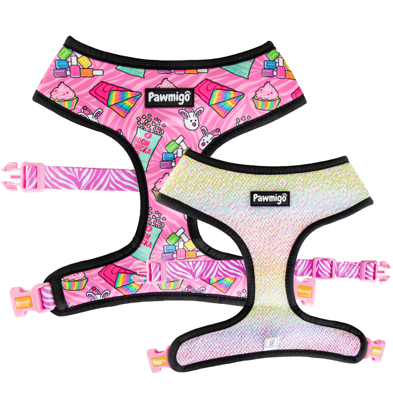 Slumber Pawty Reversible Harness