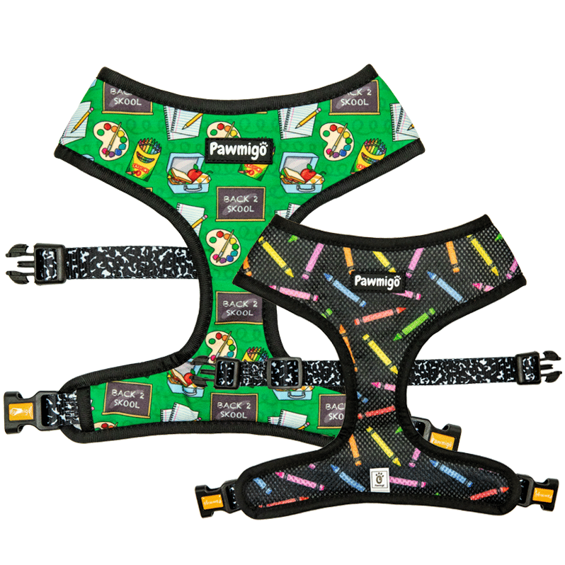 Teacher's Pet Reversible Harness