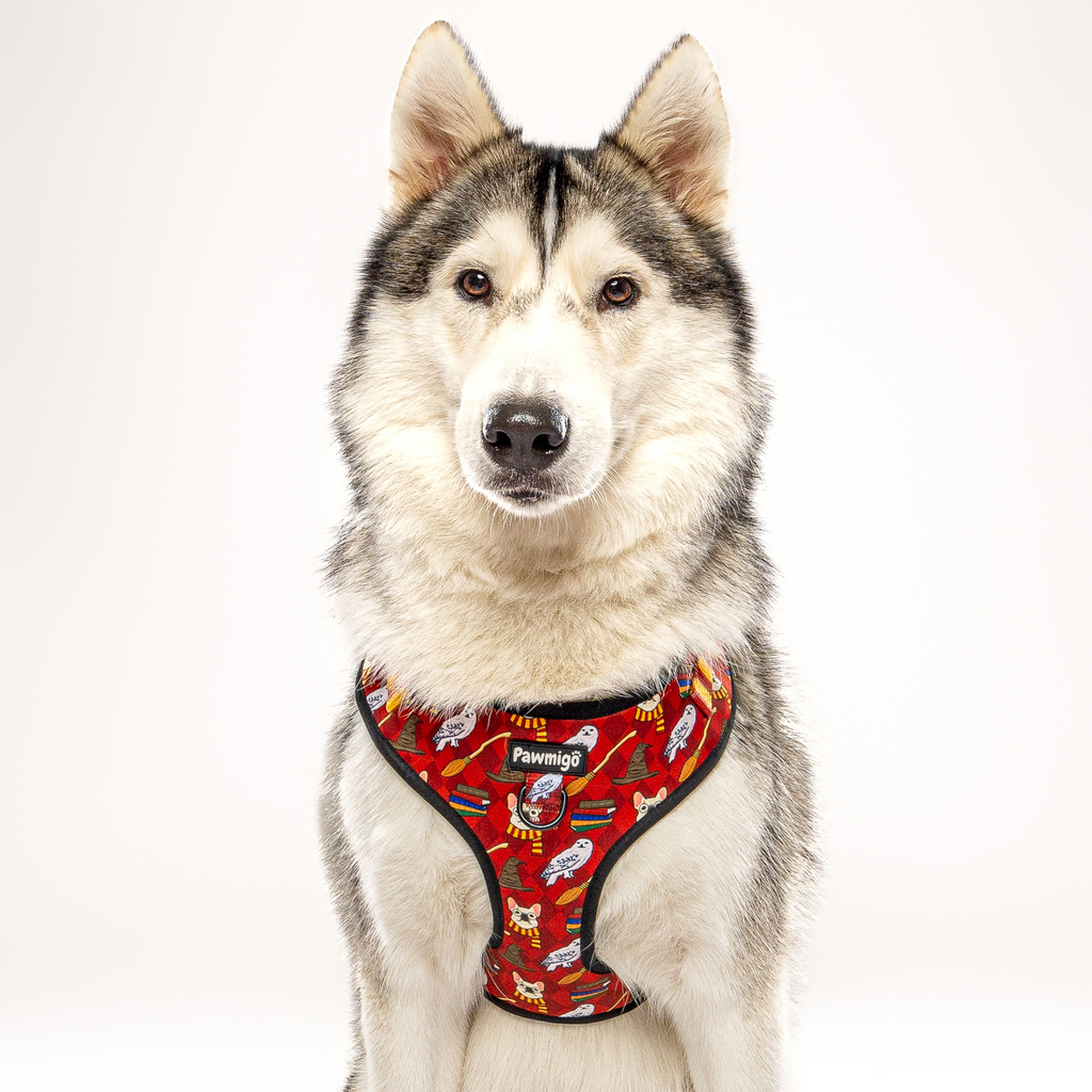 Pawgwarts Everyday Adjustable No-Pull Dog Harness
