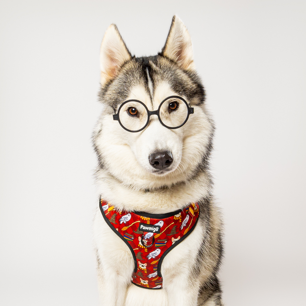 Pawgwarts Everyday Adjustable No-Pull Dog Harness