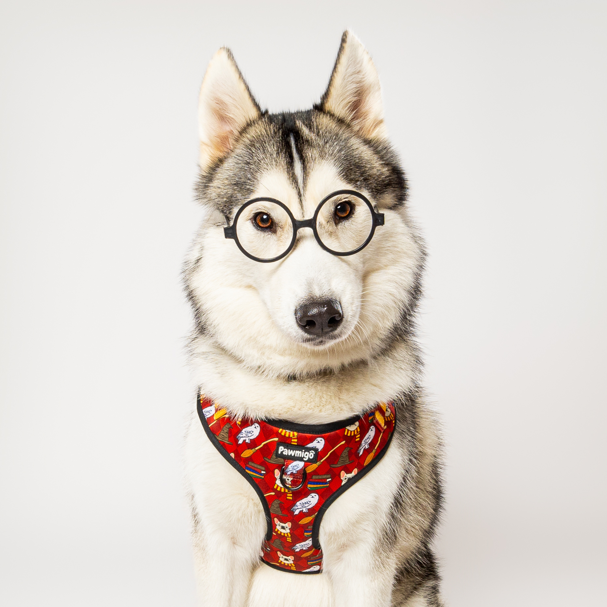 Pawgwarts Everyday Adjustable No-Pull Dog Harness