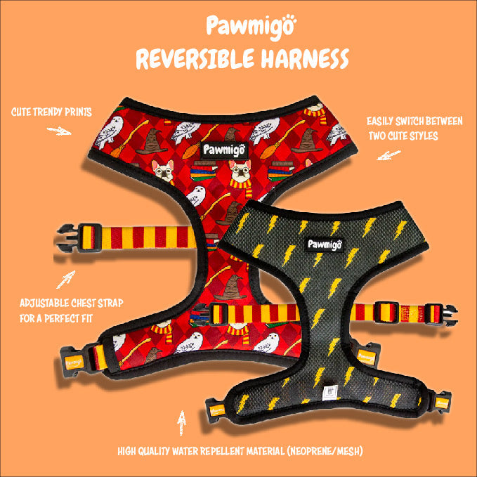 Pupkin Patch Reversible Harness - Pawmigo