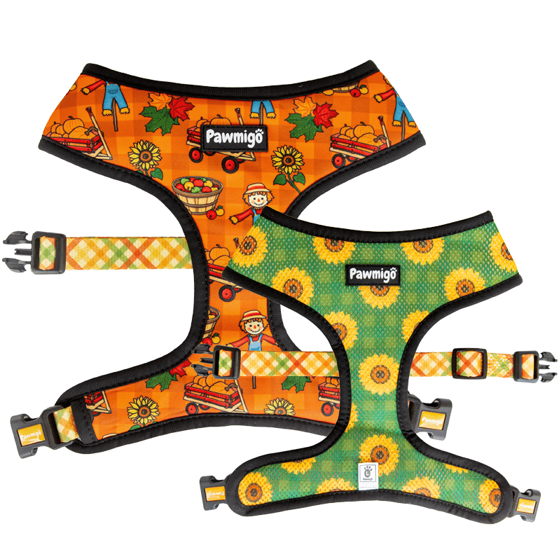 Pupkin Patch Reversible Harness - Pawmigo