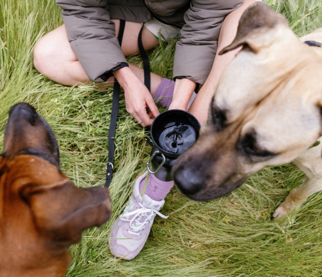 20oz Flip Dog Travel Water Bottle