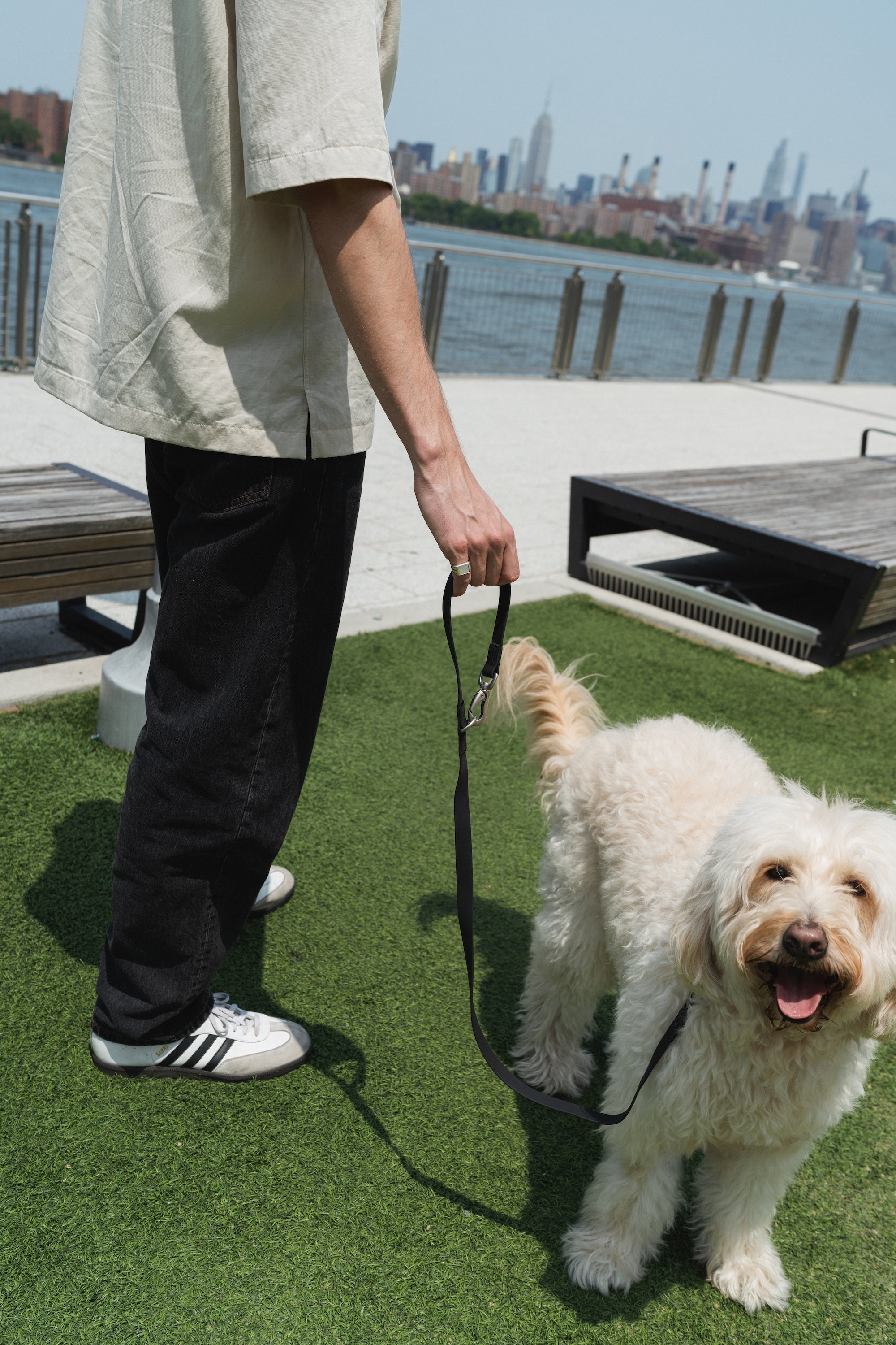 Original City Dog Leash