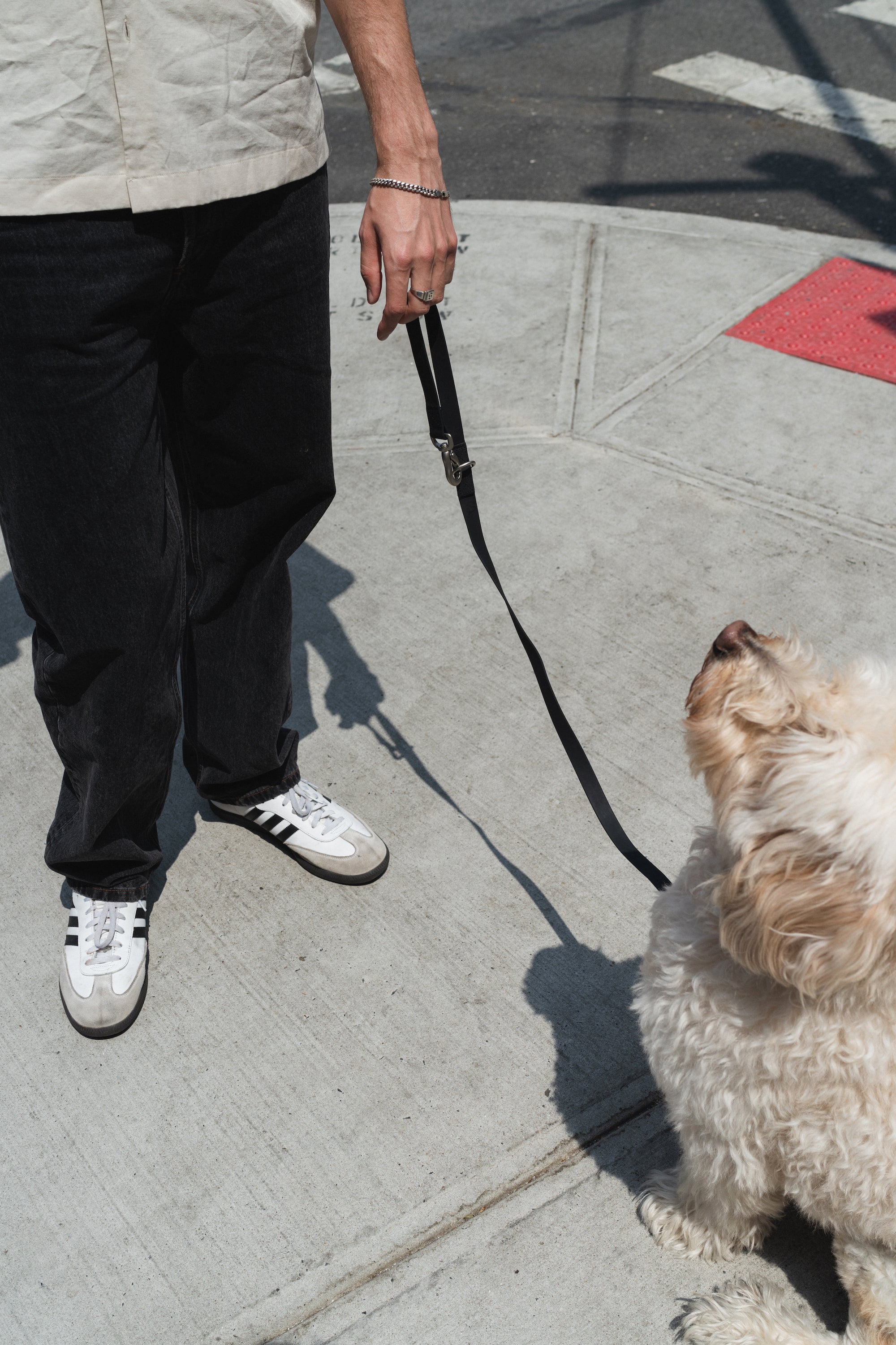 Original City Dog Leash