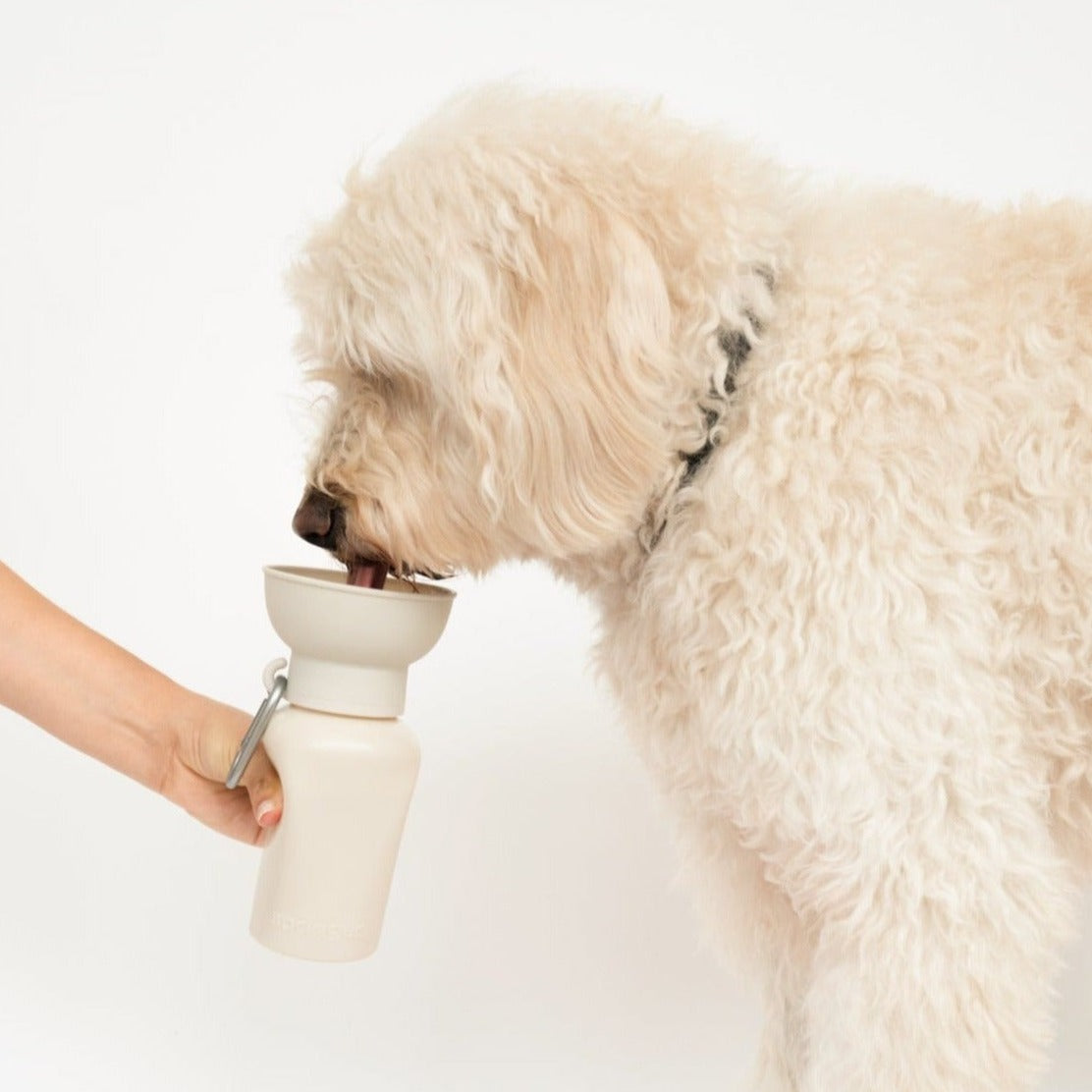 20oz Flip Dog Travel Water Bottle