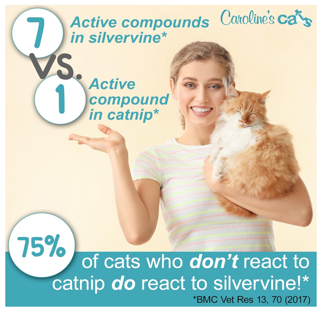 Caroline's Cats Silvervine Powder Packets for Cat Toys - Gall Fruit Refill Pouches More Potent Than Catnip Replacements for Flapping Bird, Flopping Fish, and More