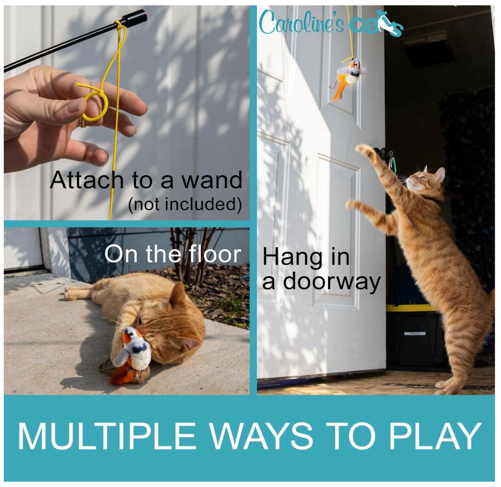 Caroline's Cats Plush Chirping Bird Cat Toy on Elastic String with Doorway Hanger - No Flimsy Suction Cups; Real Electronic Avian Sounds