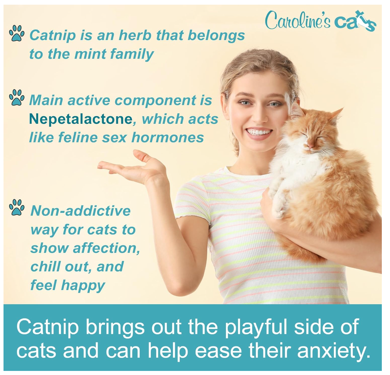 Caroline's Cats Organic Catnip Packets for Cat Toys 2.0 – More Potent Refill Pouches for Flapping Bird, Flopping Fish, and Others, 10 Tea Bags