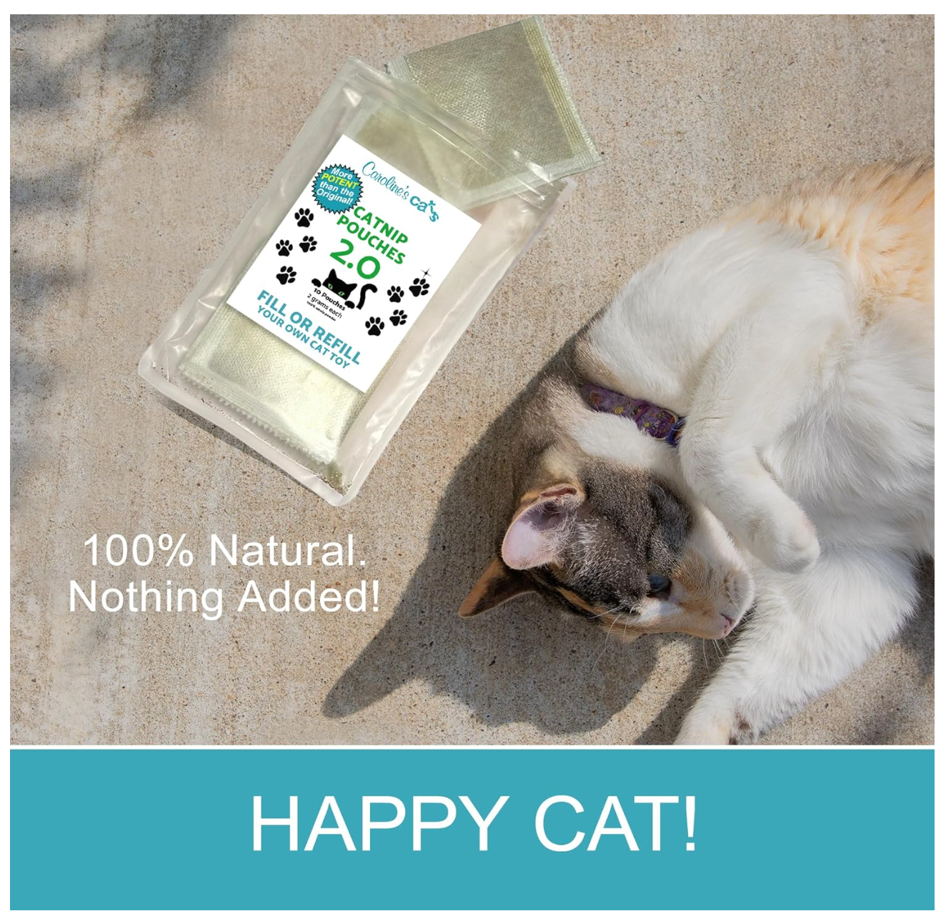 Caroline's Cats Organic Catnip Packets for Cat Toys 2.0 – More Potent Refill Pouches for Flapping Bird, Flopping Fish, and Others, 10 Tea Bags