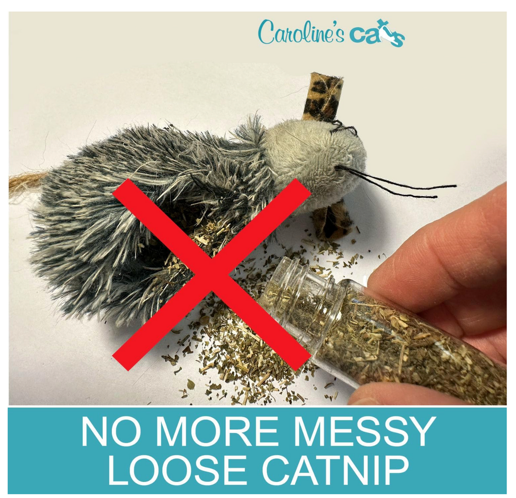 Caroline's Cats Organic Catnip Packets for Cat Toys – Refill Pouches for Flapping Bird, Flopping Fish, and More, 10 Tea Bags