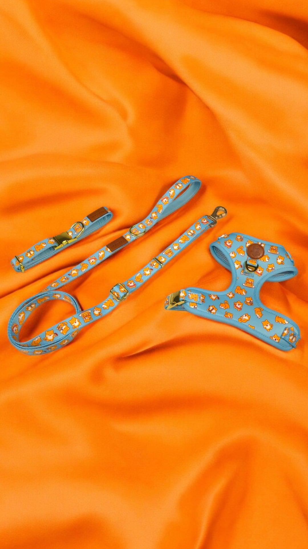 Shiba Mania Leash