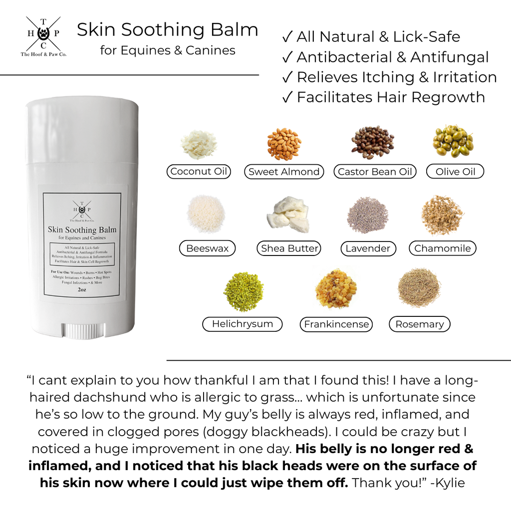 Skin Soothing Balm for Dogs & Horses - 2oz