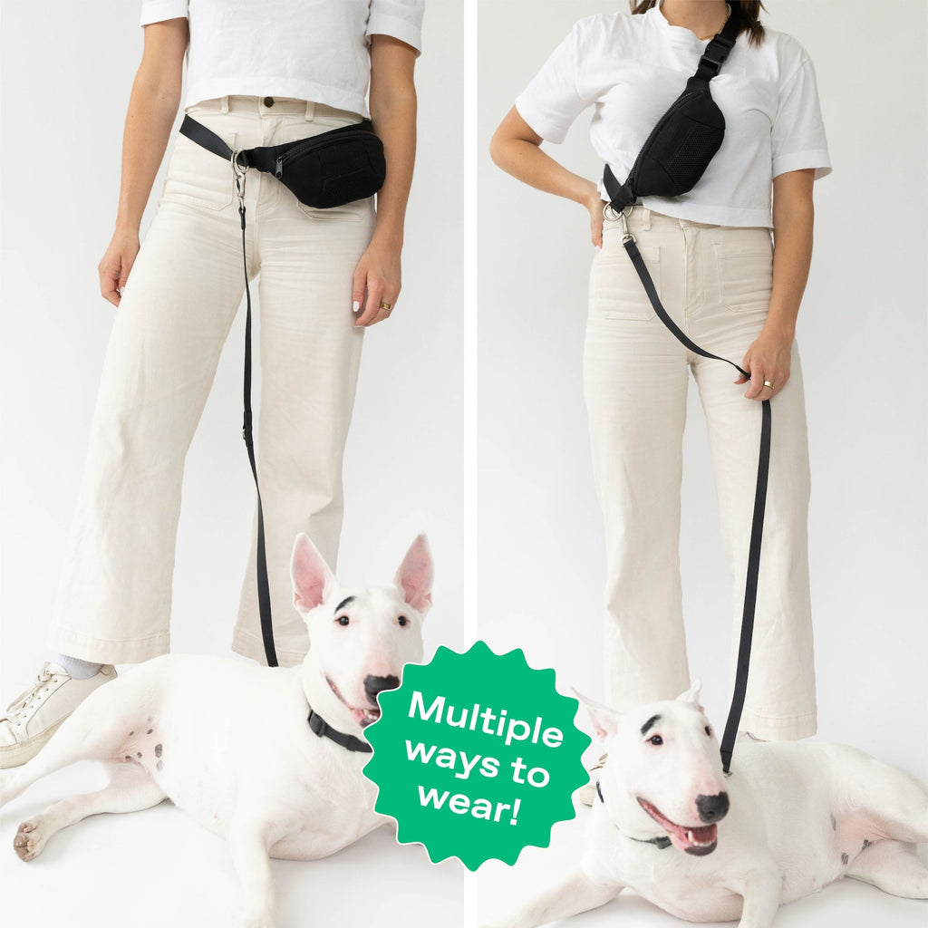 Hands-Free Neoprene Dog Sling Bag with Leash