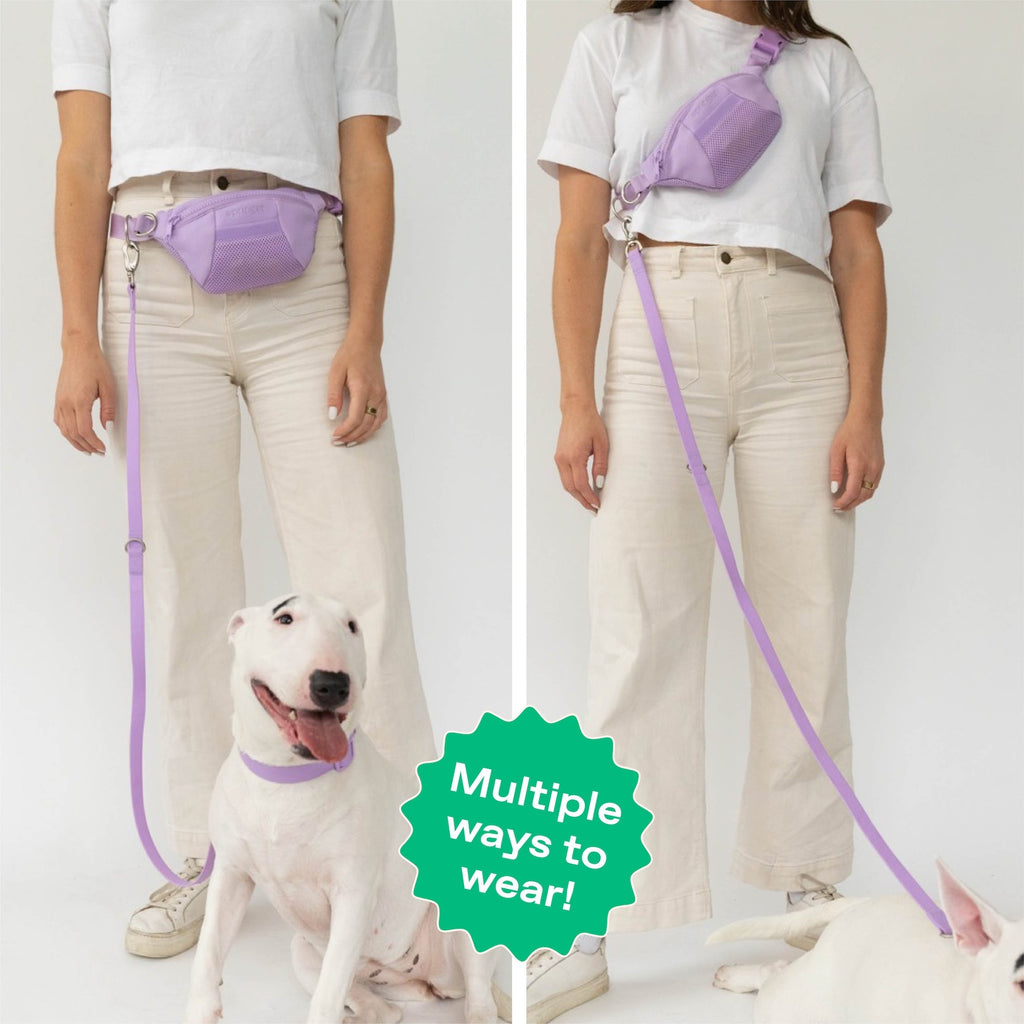 Hands-Free Neoprene Dog Sling Bag with Leash