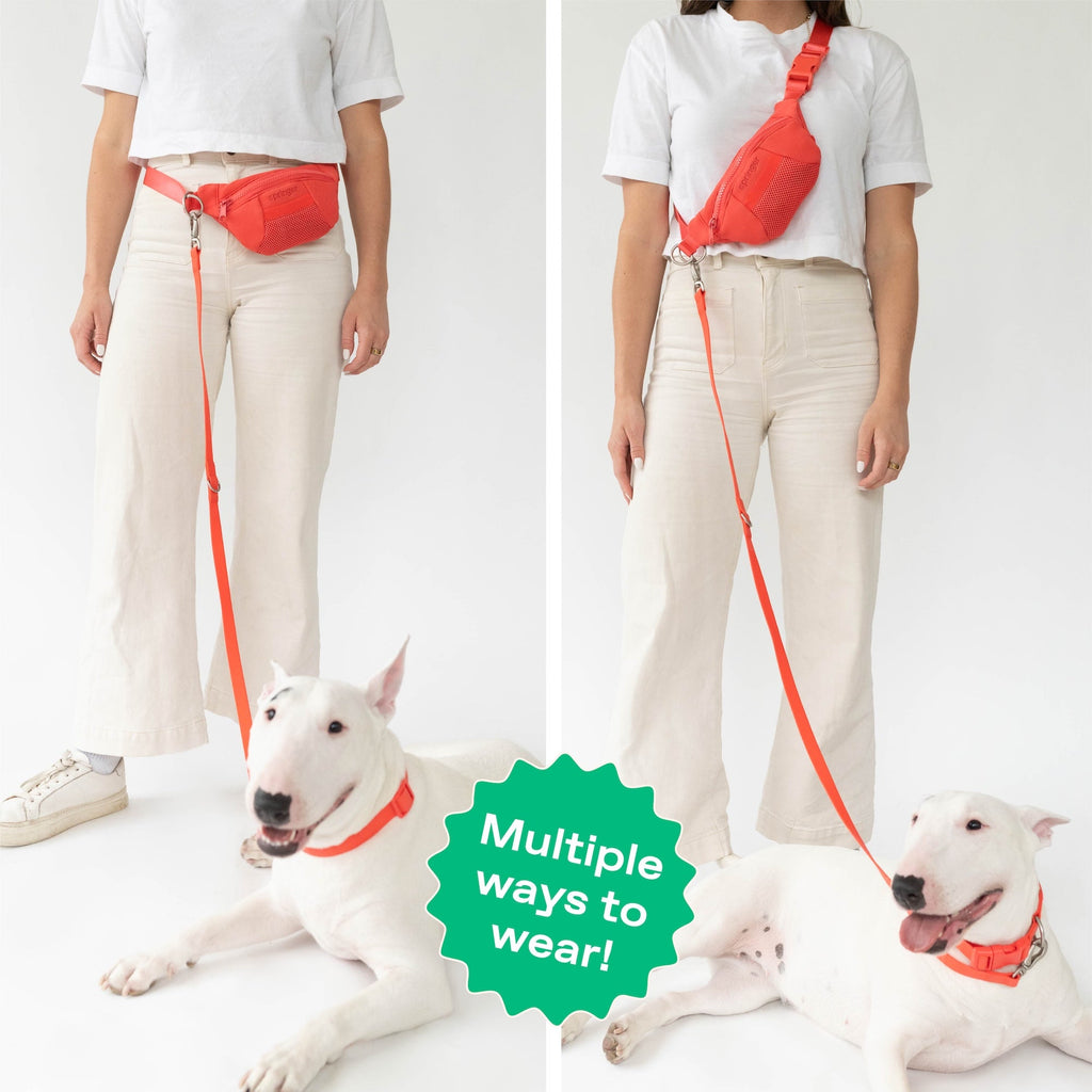 Hands-Free Neoprene Dog Sling Bag with Leash