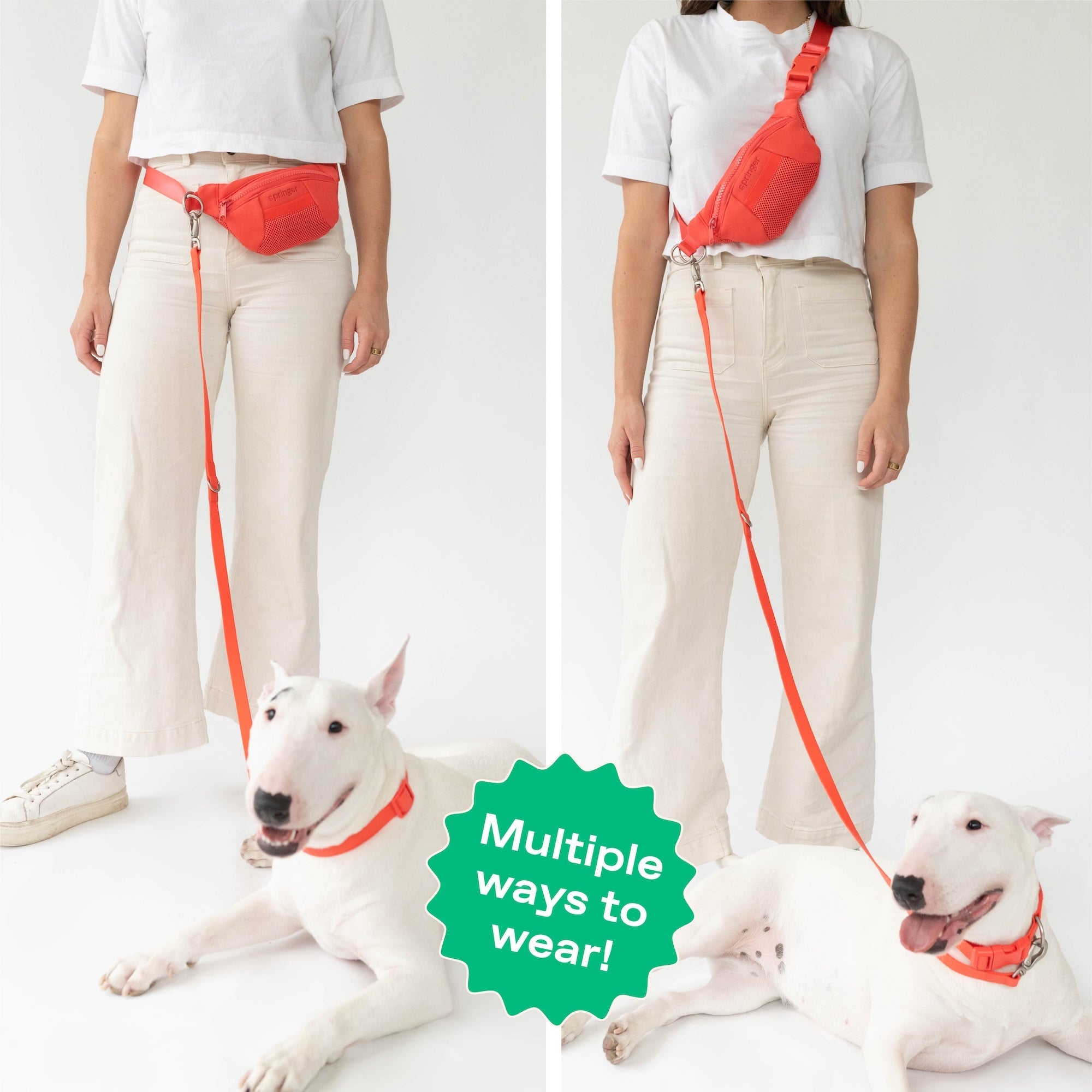 Hands-Free Neoprene Dog Sling Bag with Leash