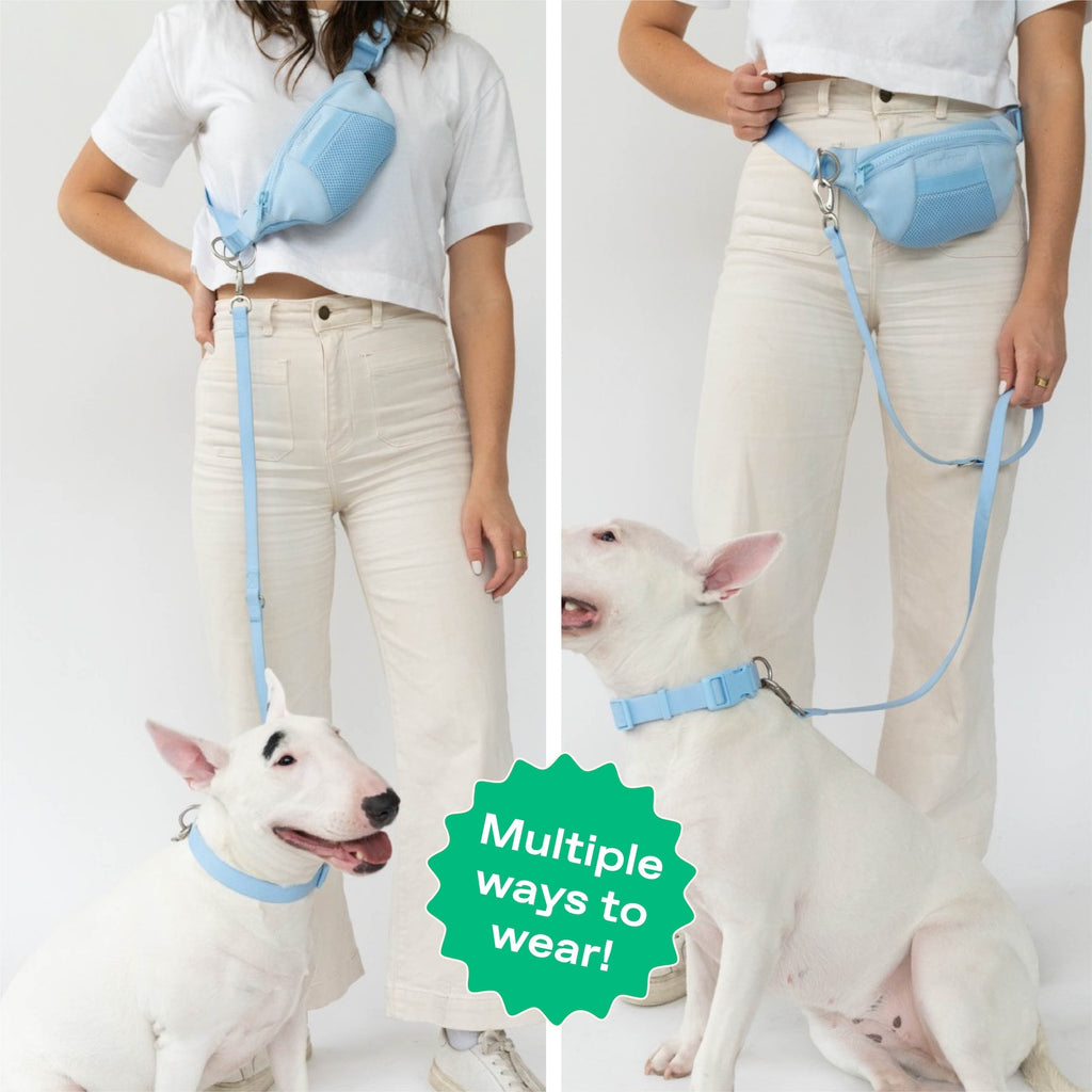 Hands-Free Neoprene Dog Sling Bag with Leash
