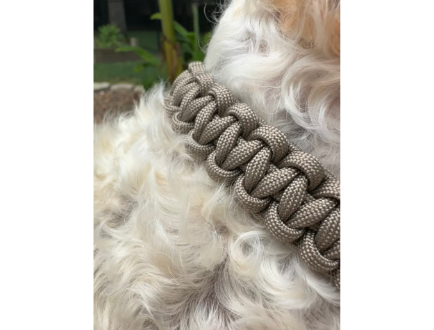 Cobra Braid in Tan - Handmade Dog Collar