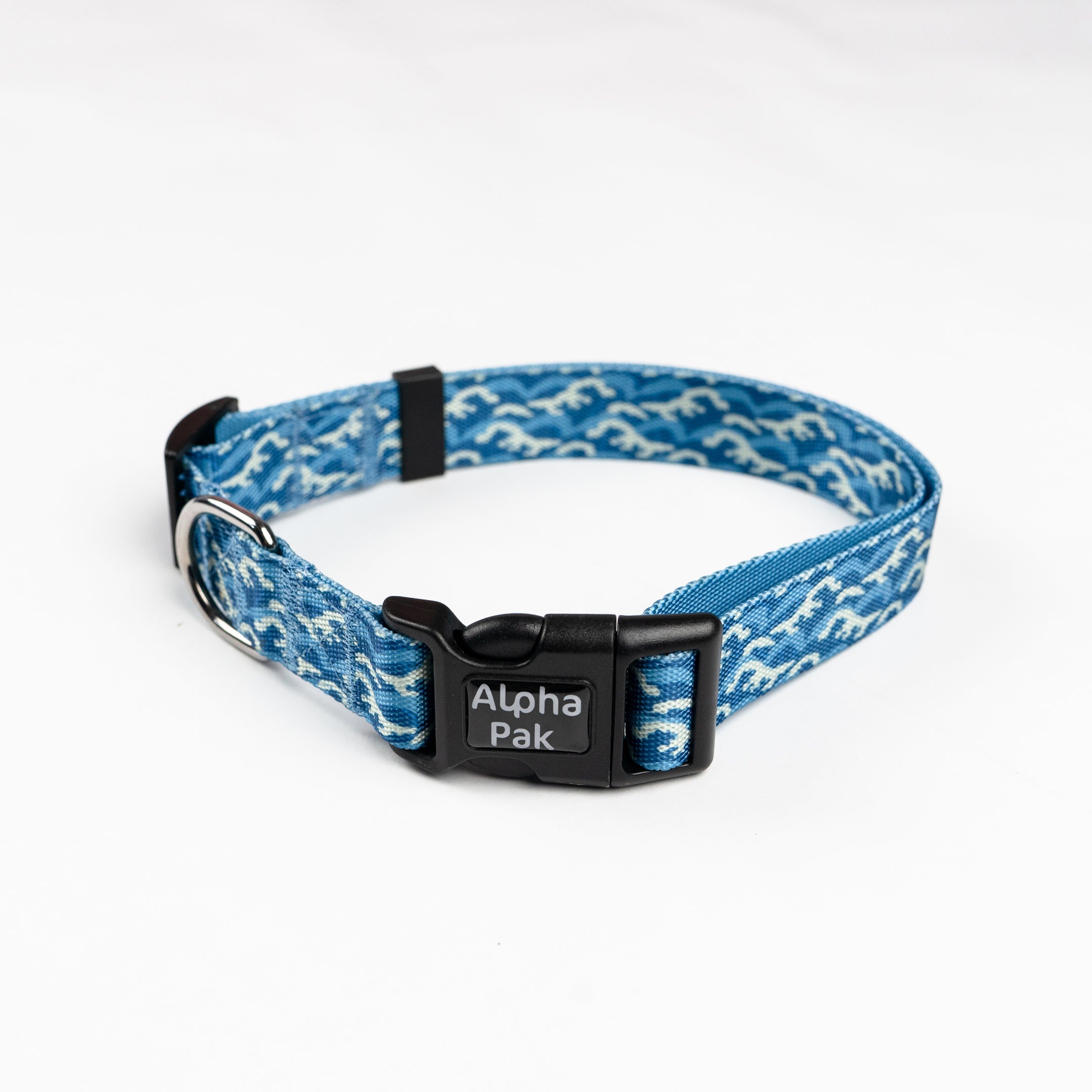 Everyday Adventure Dog Collar