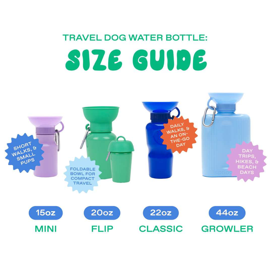 20oz Flip Dog Travel Water Bottle