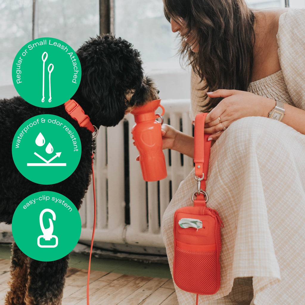 Neoprene Dog Walk Bag with Leash