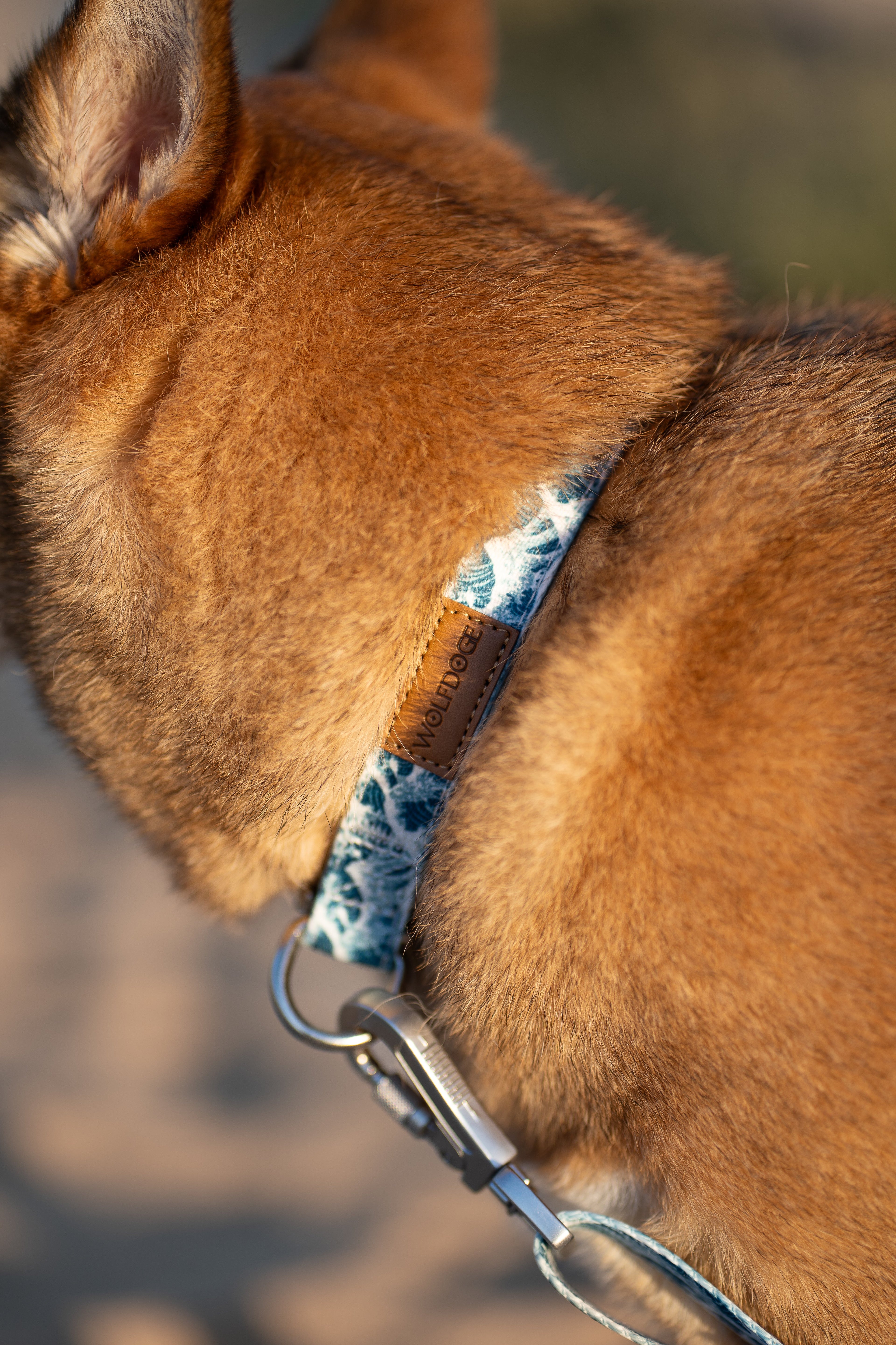 Great Wave Collar