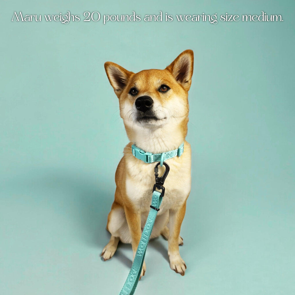 Wolfdoge Signature Leash