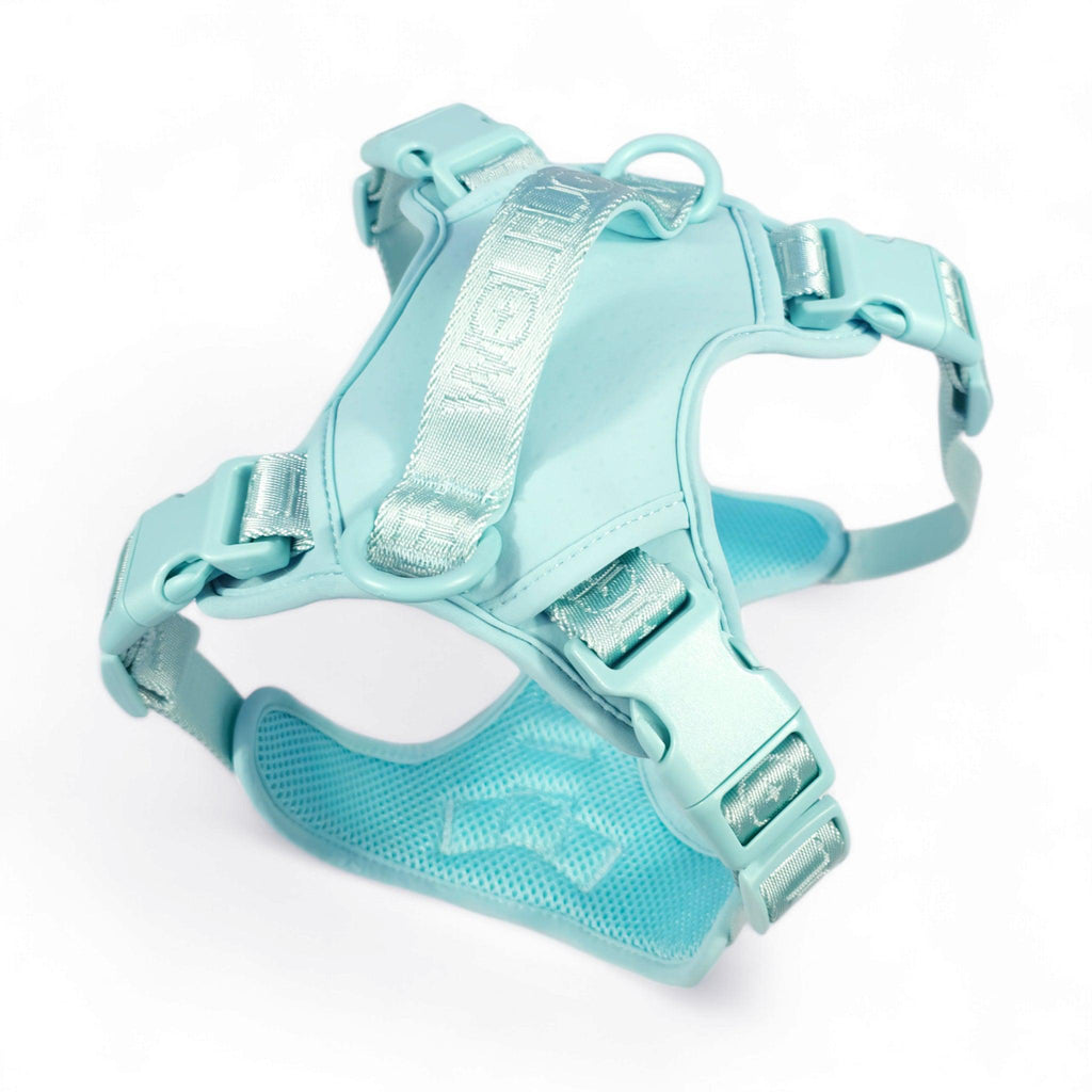 Wolfdoge Signature Harness