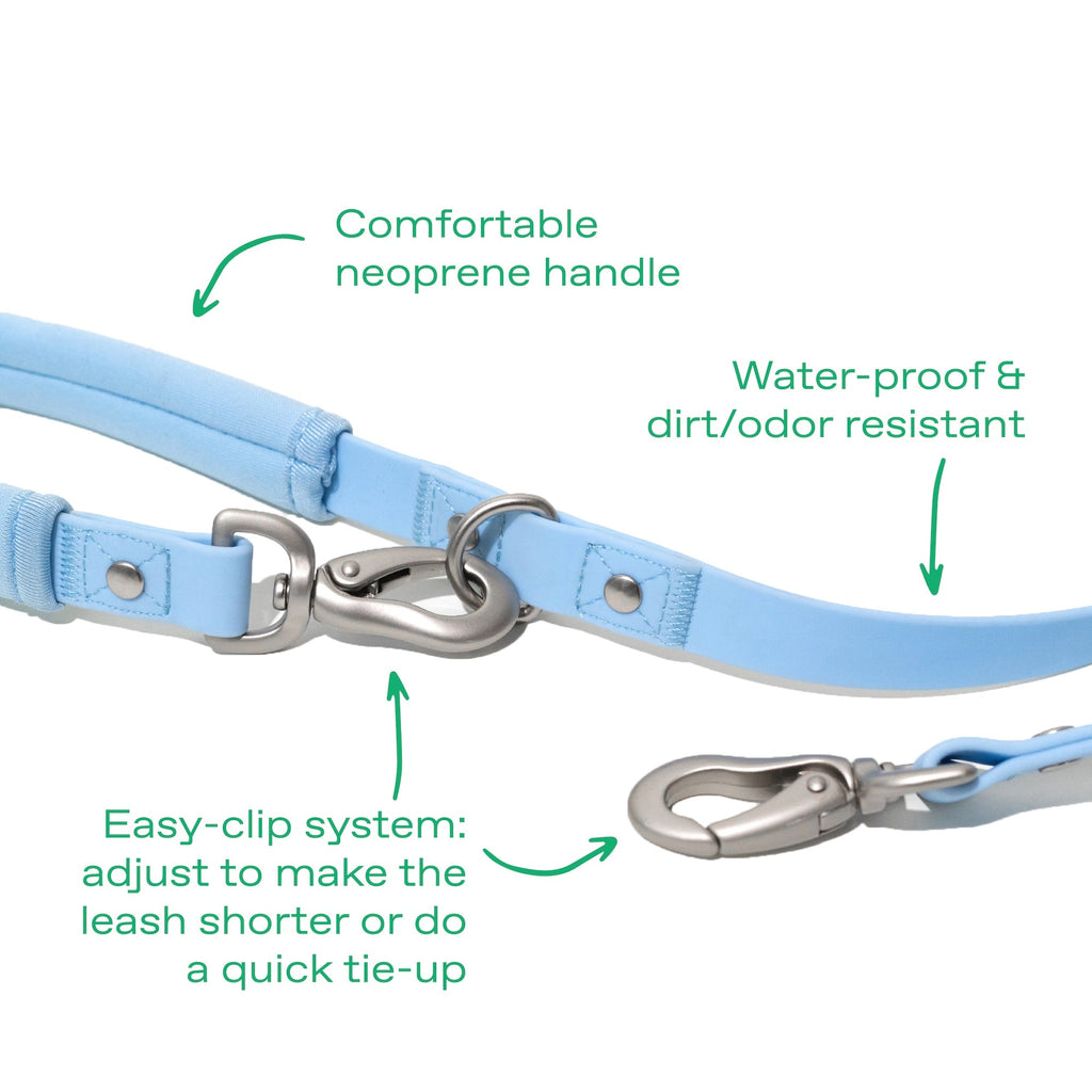 Original Dog Leash with Neoprene Handle
