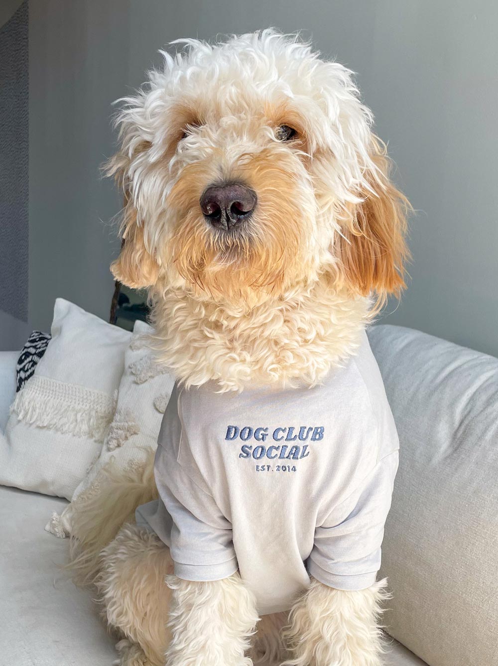 Embroidered Tee (Dog)