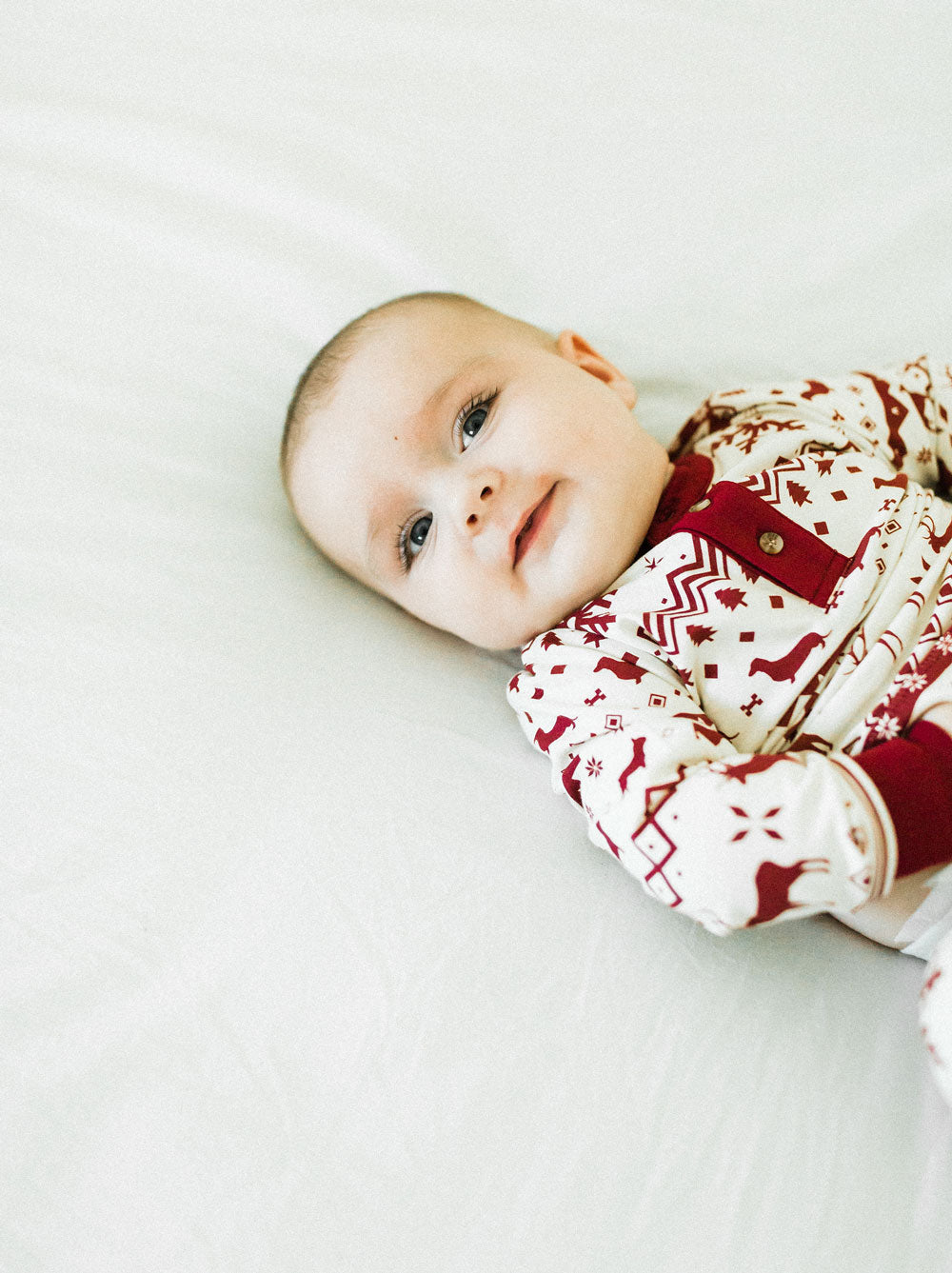 Festive Fam Holiday Pajama (Dog & Kids)