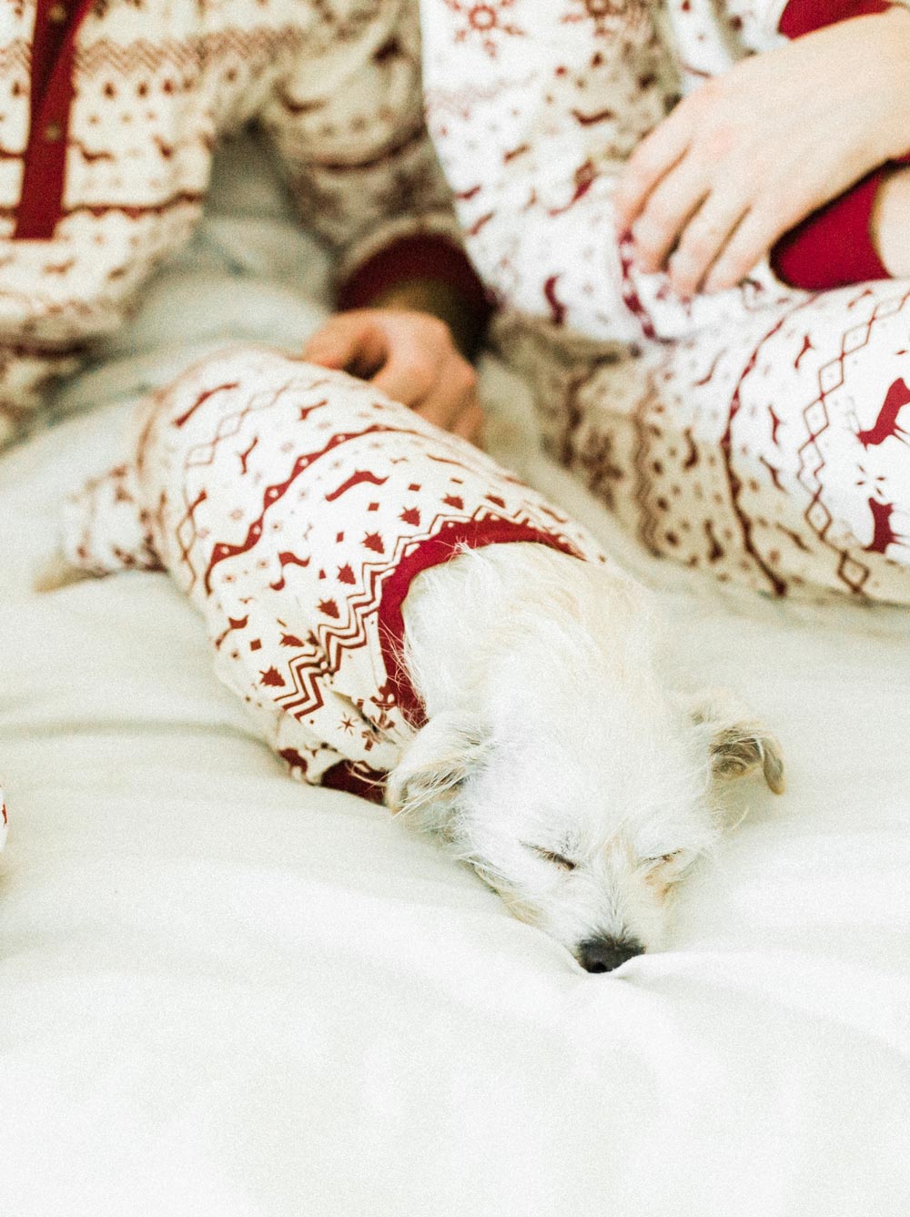 Festive Fam Holiday Pajama (Dog & Kids)