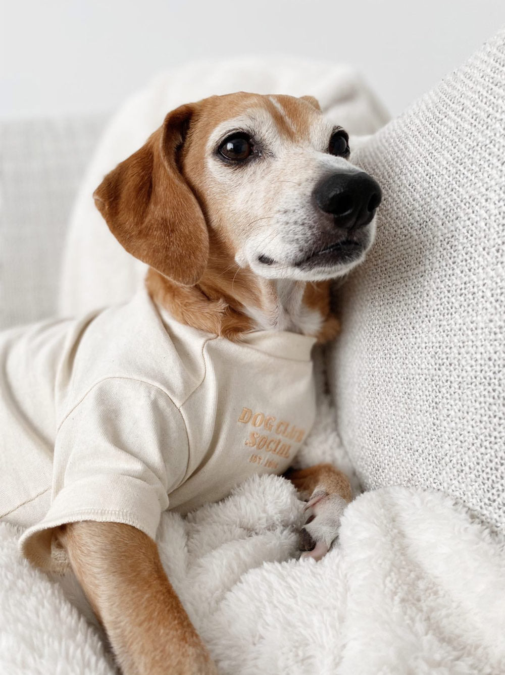 Embroidered Tee (Dog)