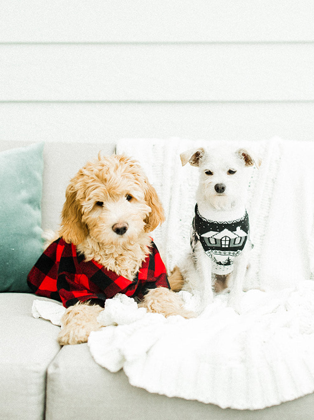 Cabin Sweater (Dog & Kids)