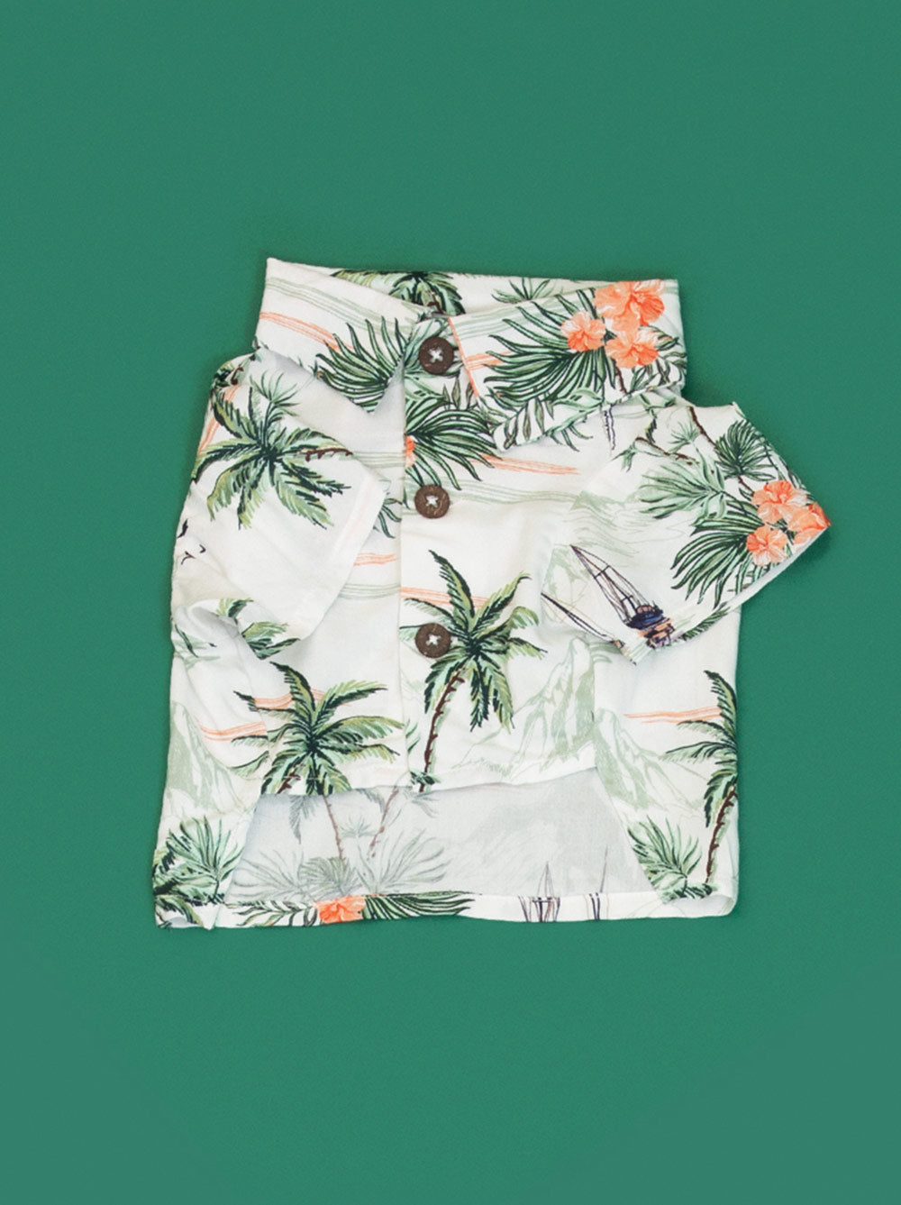 Sail Away BBQ Shirt (Dog & Kids)