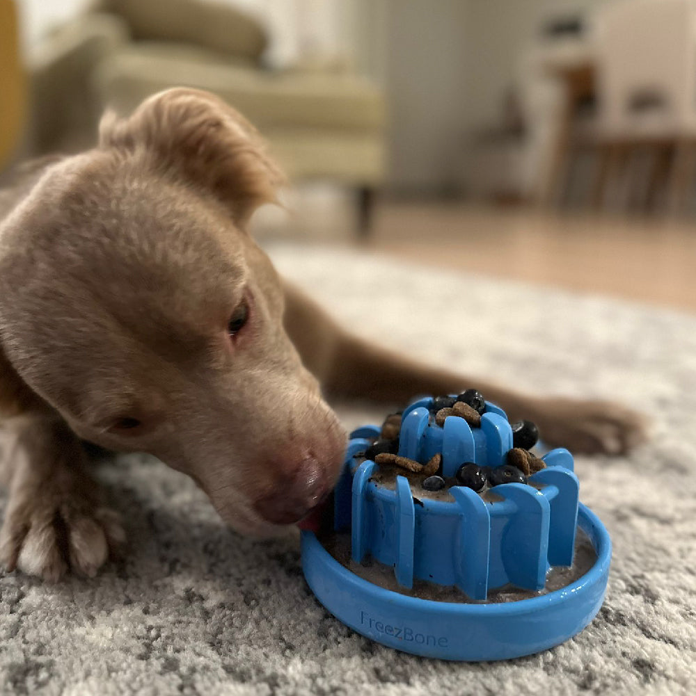 FreezLava Heavy-Duty Enrichment Chew