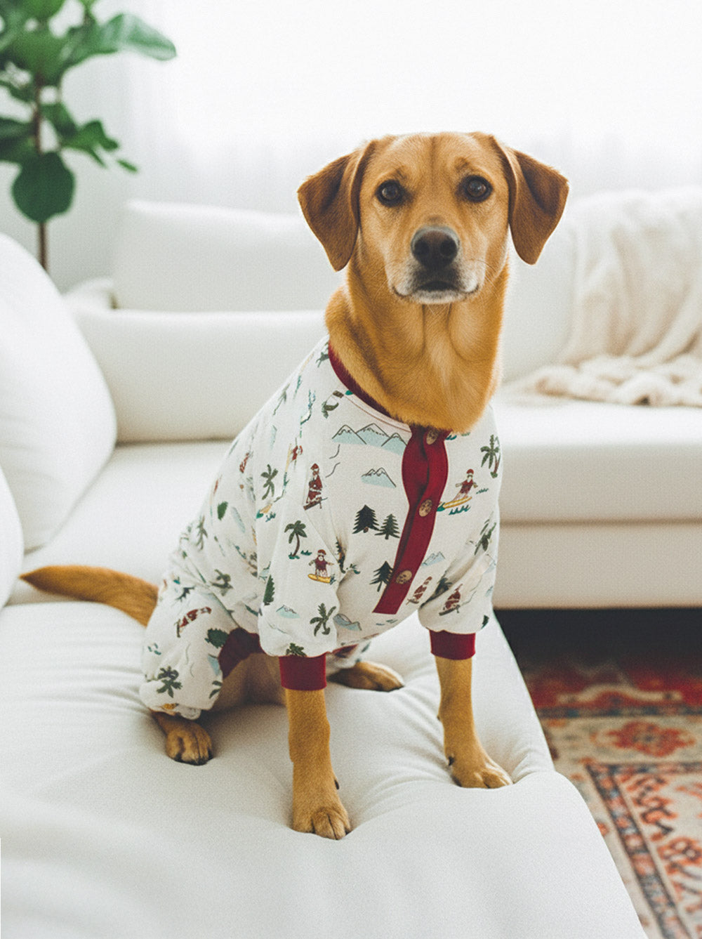 Fun Fam Surfing Santa Pajama (Dog & Kids)
