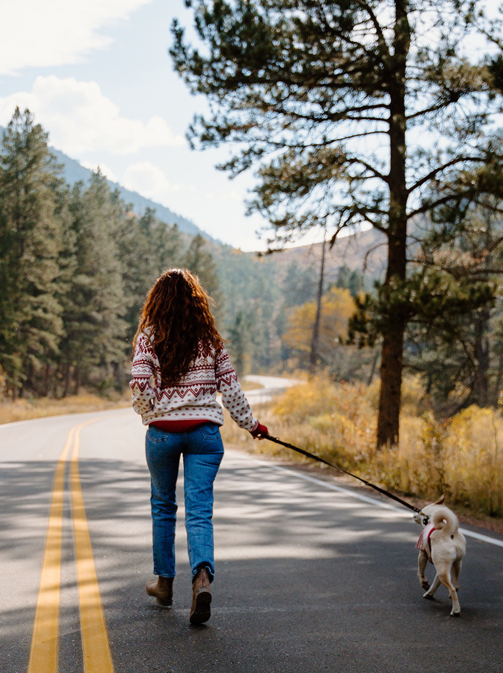 Norwegian Sweater (Adults)