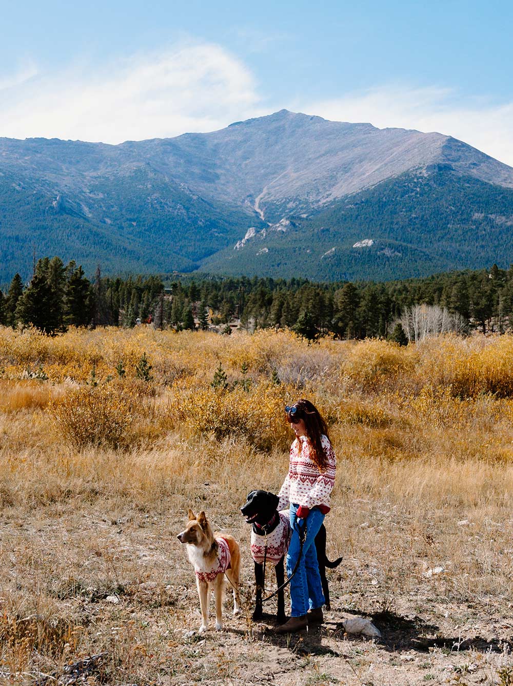 Norwegian Sweater (Adults)