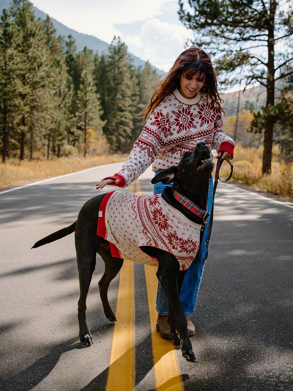 Norwegian Sweater (Adults)