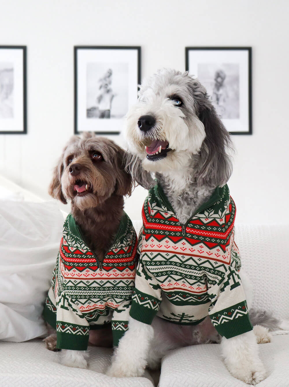 North Woods Sweater (Adult)