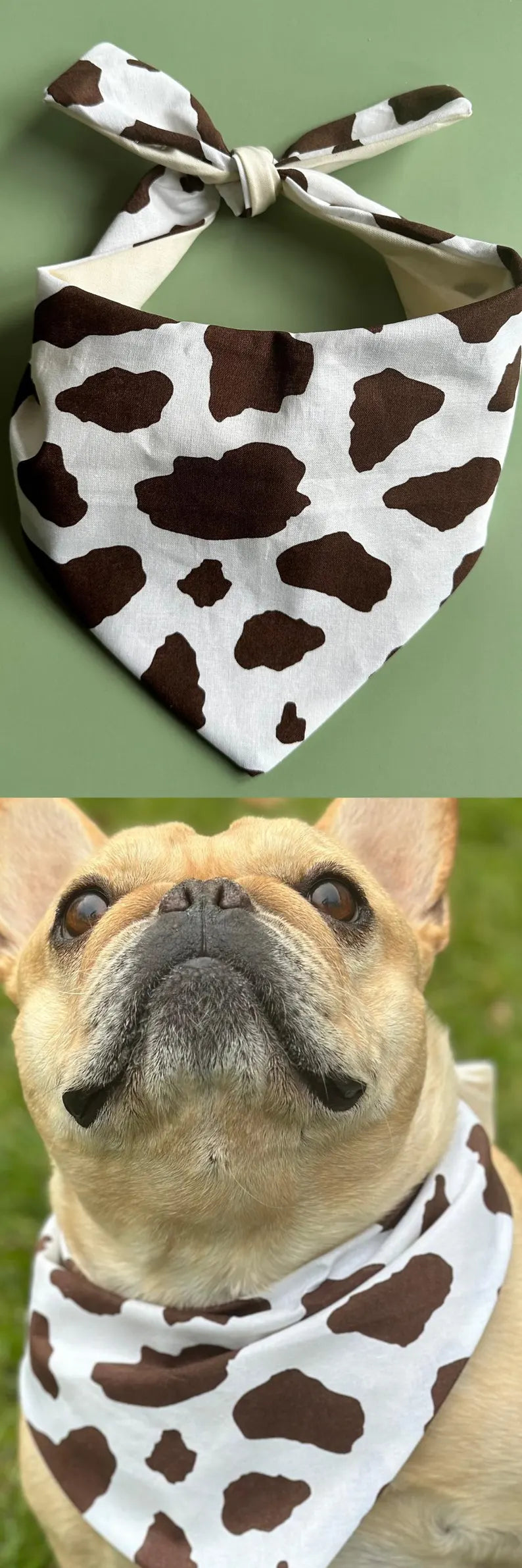 Cow Print Dog Bandana